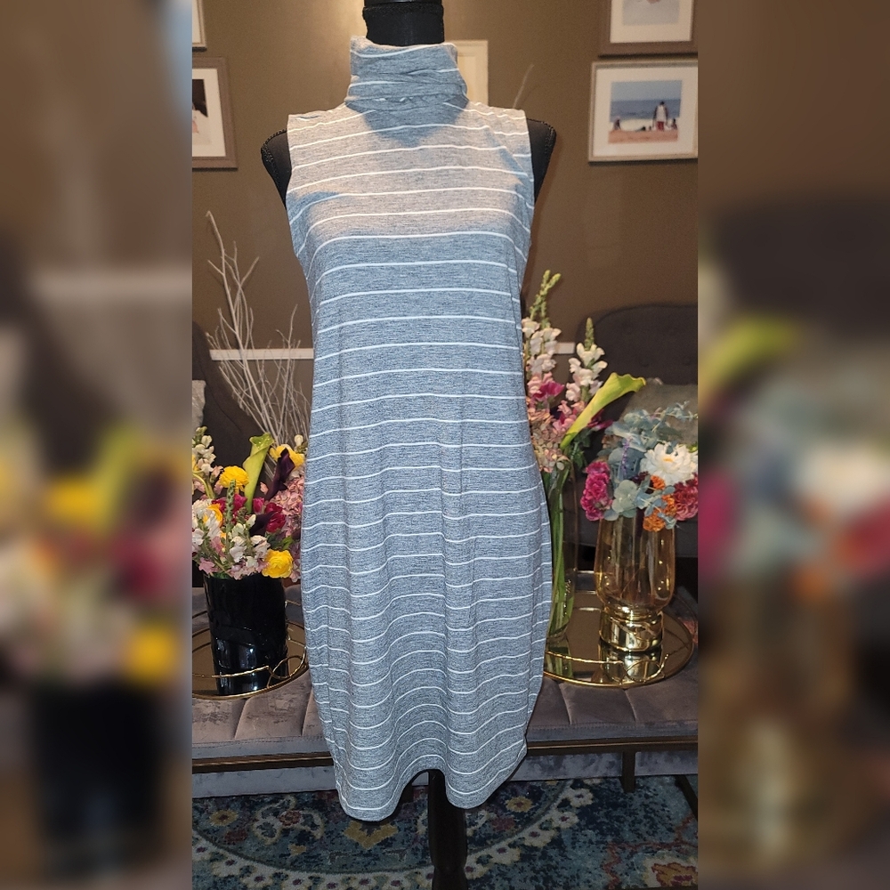 NWT Old Navy Turtle Neck Dress Size S